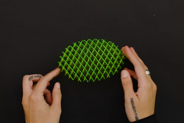 MORF WORM FIDGET TOY - CIRCLE 3D model 3D printable